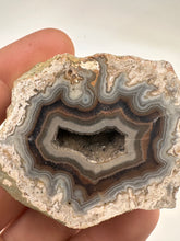 Load image into Gallery viewer, Kentucky agate brown/grey/white floater polished half specimen
