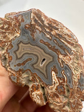 Load image into Gallery viewer, Kentucky Agate maroon grey/brown maroon polished half specimen
