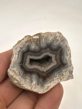 Load image into Gallery viewer, Kentucky agate brown/grey/white floater polished half specimen
