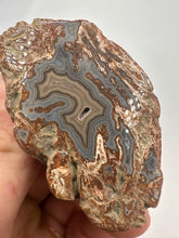 Load image into Gallery viewer, Kentucky Agate maroon grey/brown maroon polished half specimen
