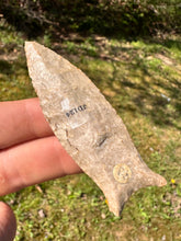 Load image into Gallery viewer, Rare Paleo Cumberland central Kentucky
