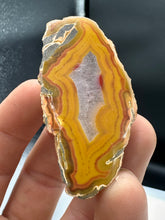 Load image into Gallery viewer, Kentucky Agate yellow/red/green polished half specimen
