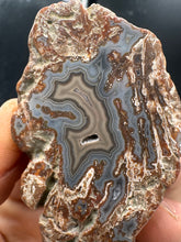 Load image into Gallery viewer, Kentucky Agate maroon grey/brown maroon polished half specimen
