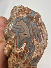 Load image into Gallery viewer, Kentucky Agate maroon grey/brown maroon polished half specimen
