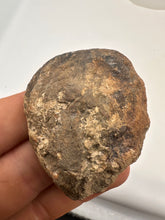 Load image into Gallery viewer, Kentucky Agate white/grey/brown/maroon polished half specimen
