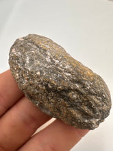 Load image into Gallery viewer, Kentucky agate yellow banded polished half specimen
