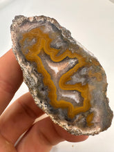 Load image into Gallery viewer, Kentucky agate yellow banded polished half specimen
