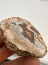 Load image into Gallery viewer, Kentucky Agate white/grey/brown/maroon polished half specimen
