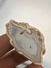 Load image into Gallery viewer, Kentucky Agate white/grey/pink polished half
