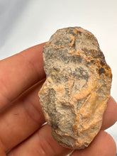 Load image into Gallery viewer, Kentucky Agate yellow/red/green polished half specimen
