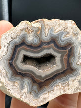Load image into Gallery viewer, Kentucky agate brown/grey/white floater polished half specimen

