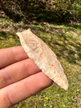 Load image into Gallery viewer, Rare Paleo Cumberland central Kentucky
