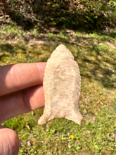 Load image into Gallery viewer, Rare Paleo Cumberland central Kentucky
