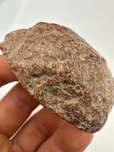 Load image into Gallery viewer, Kentucky Agate maroon grey/brown maroon polished half specimen

