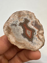 Load image into Gallery viewer, Kentucky Agate white/grey/brown/maroon polished half specimen
