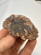 Load image into Gallery viewer, Kentucky Agate maroon grey/brown maroon polished half specimen
