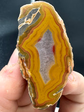 Load image into Gallery viewer, Kentucky Agate yellow/red/green polished half specimen
