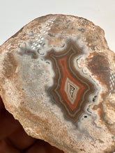 Load image into Gallery viewer, Kentucky Agate white/grey/brown/maroon polished half specimen

