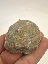 Load image into Gallery viewer, Kentucky agate brown/grey/white floater polished half specimen
