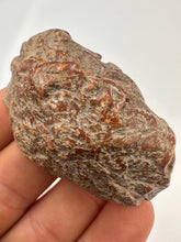 Load image into Gallery viewer, Kentucky Agate maroon grey/brown maroon polished half specimen
