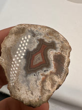Load image into Gallery viewer, Kentucky Agate white/grey/brown/maroon polished half specimen

