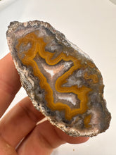 Load image into Gallery viewer, Kentucky agate yellow banded polished half specimen
