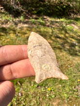 Load image into Gallery viewer, Rare Paleo Cumberland central Kentucky
