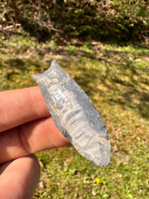 Load image into Gallery viewer, Rare Collector grade Coshocton Chert Cumberland Ohio
