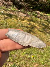 Load image into Gallery viewer, Double Fluted Paleo Cumberland from Kentucky
