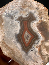 Load image into Gallery viewer, Kentucky Agate white/grey/brown/maroon polished half specimen
