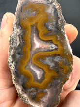 Load image into Gallery viewer, Kentucky agate yellow banded polished half specimen
