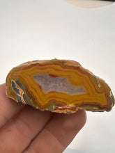 Load image into Gallery viewer, Kentucky Agate yellow/red/green polished half specimen
