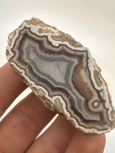 Load image into Gallery viewer, Kentucky Agate white/grey/pink with floater polished half specimen
