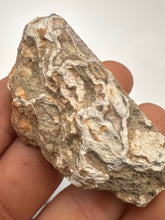 Load image into Gallery viewer, Kentucky Agate white/grey/pink with floater polished half specimen
