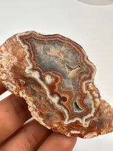 Load image into Gallery viewer, Kentucky Agate maroon, grey, white brown banded polished half specimen

