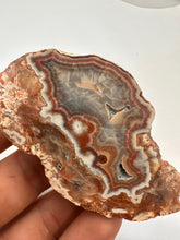 Load image into Gallery viewer, Kentucky Agate maroon, grey, white brown banded polished half specimen
