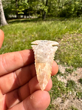 Load image into Gallery viewer, Collector grade Early Archaic Dovetail Flint Ridge Northern Kentucky
