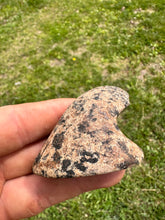 Load image into Gallery viewer, Extremely rare Bust Birdstone  Northern Kentucky made from Gneiss
