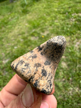 Load image into Gallery viewer, Extremely rare Bust Birdstone  Northern Kentucky made from Gneiss

