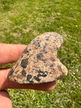Load image into Gallery viewer, Extremely rare Bust Birdstone  Northern Kentucky made from Gneiss
