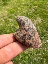 Load image into Gallery viewer, Extremely rare Bust Birdstone  Northern Kentucky made from Gneiss
