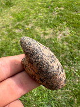Load image into Gallery viewer, Extremely rare Bust Birdstone  Northern Kentucky made from Gneiss
